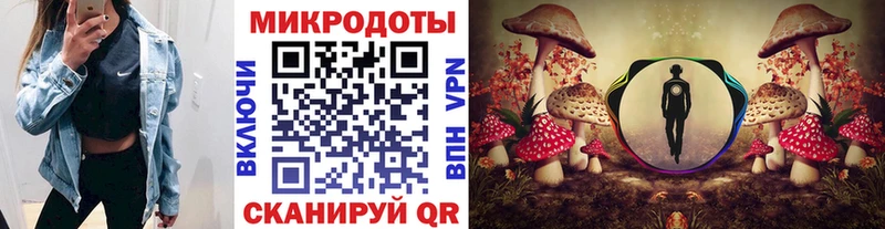 цены наркотик Лесной Псилоцибиновые грибы Magic Shrooms